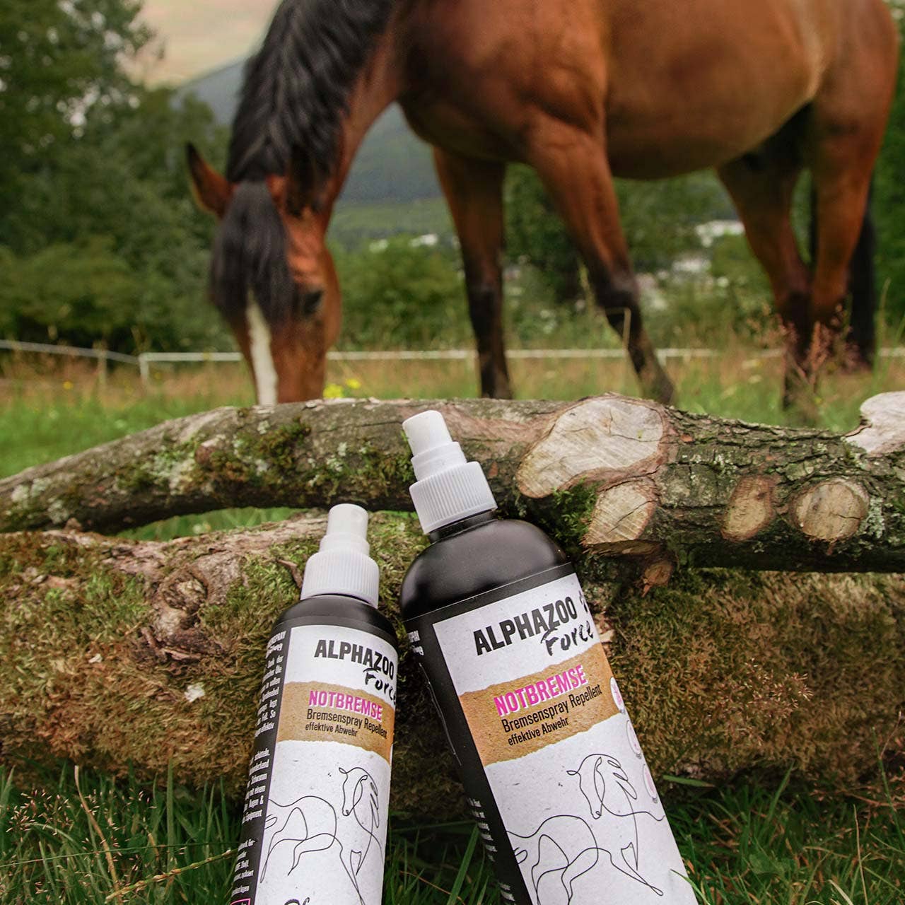 Spray anti insectes pour chevaux