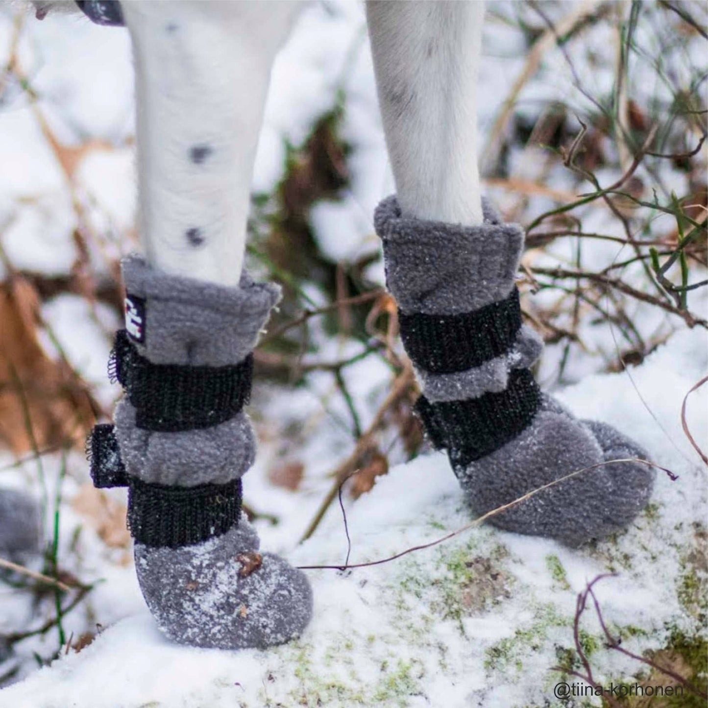 Chaussons HALLA pour chiens (4 pièces/paquet), 3 couleurs