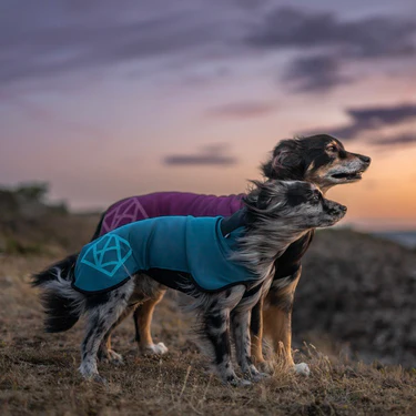 Veste polaire SPORT (en pré commande)