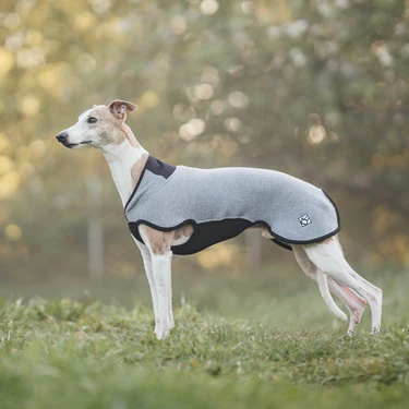 Veste en laine SPORT WOOL (en précommande)