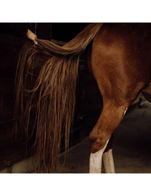 Soin Démêlant naturel pour chevaux - 300 ML