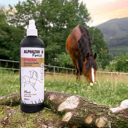 Spray anti insectes pour chevaux