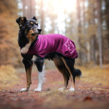 Veste polaire SPORT (en pré commande)