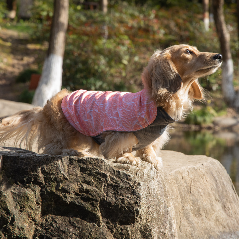 T-shirt rafraîchissant Dobby