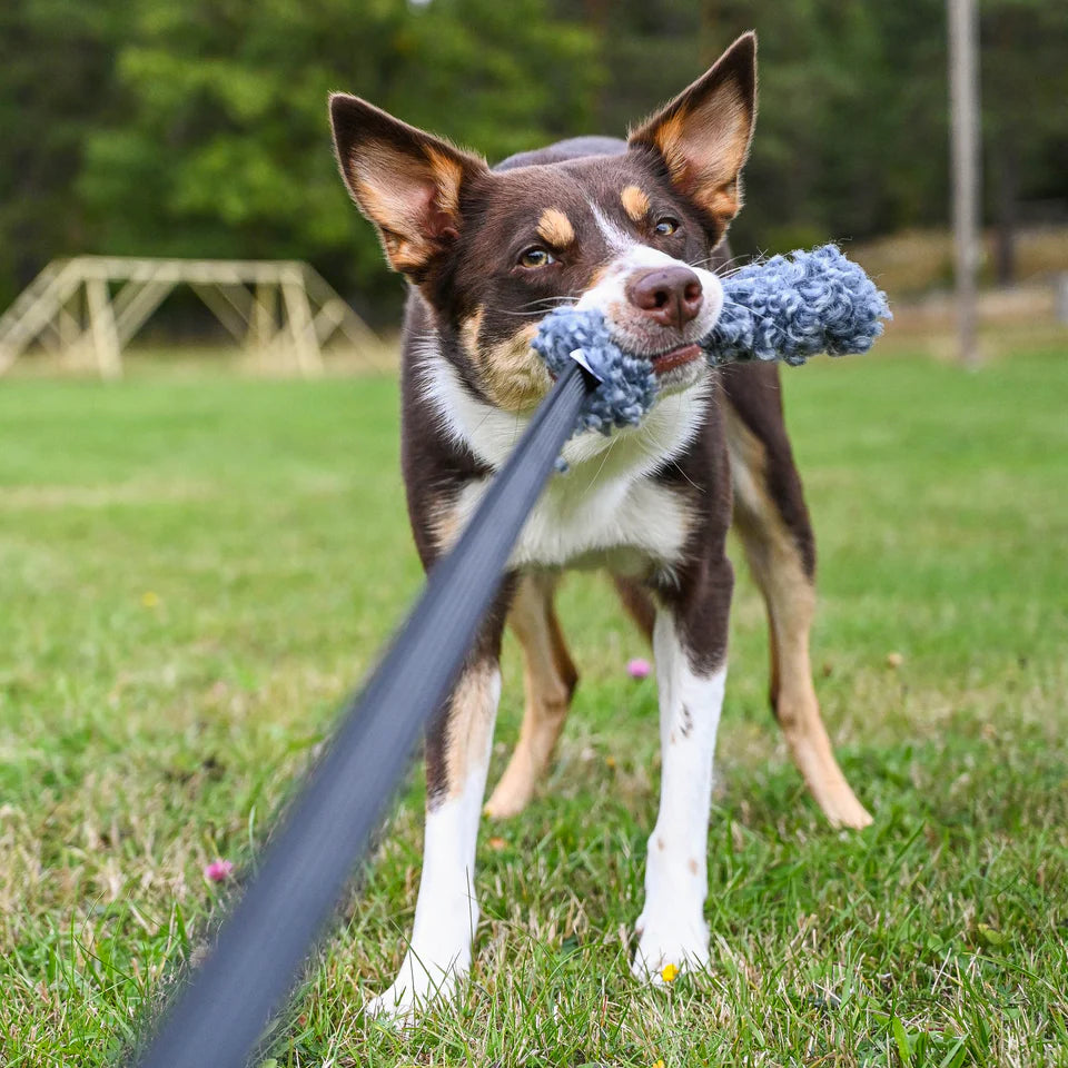 HUNDLANDS - Trainingsball