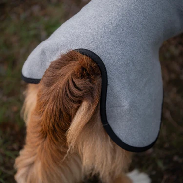 Veste en laine SPORT WOOL (en précommande)
