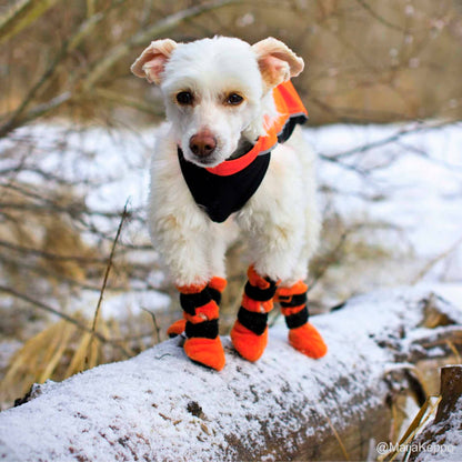 Chaussons HALLA pour chiens (4 pièces/paquet), 3 couleurs