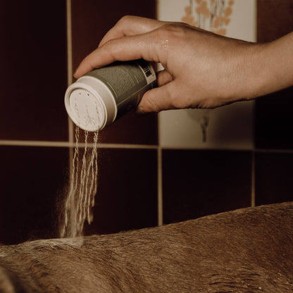 Shampoing pour chien poudre moussante