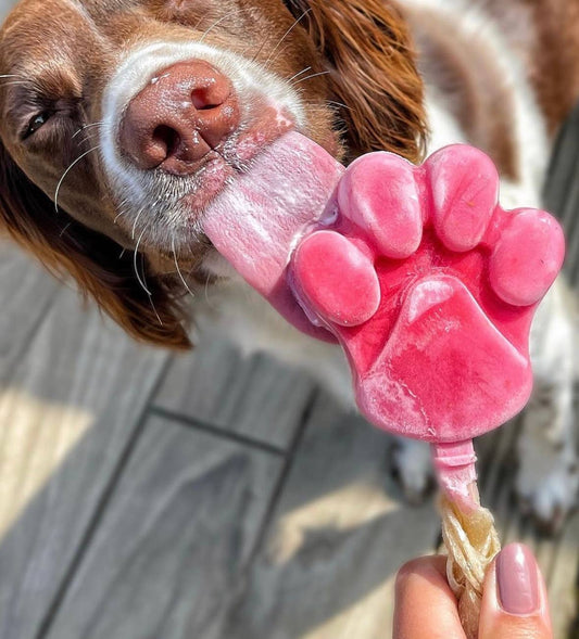 Moule à glaces