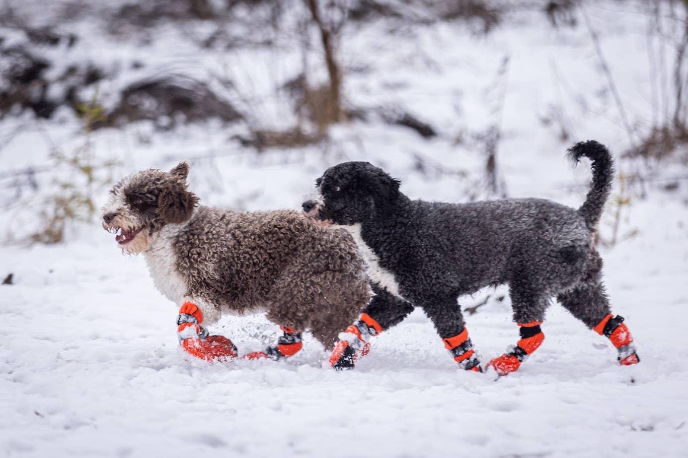 Chaussons HALLA pour chiens (4 pièces/paquet), 3 couleurs