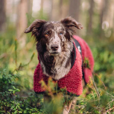 VESTE EN LAINE MERINOS HYBRIDO (en précommande)