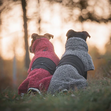 VESTE EN LAINE MERINOS HYBRIDO (en précommande)